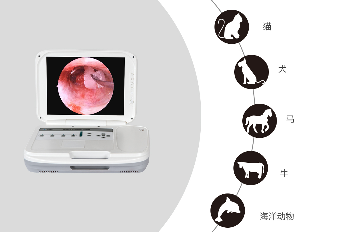 內(nèi)窺鏡攝像機的應(yīng)用領(lǐng)域有哪些？