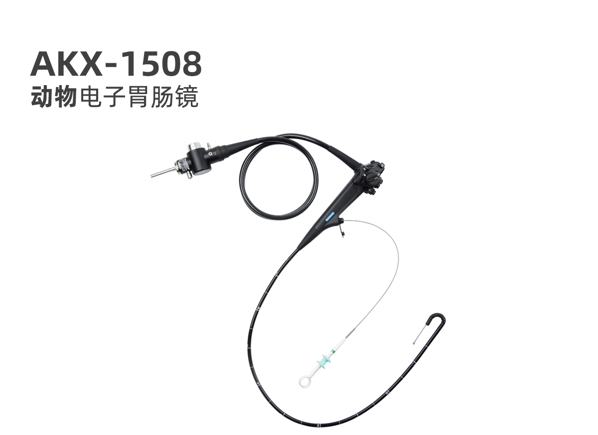 新產(chǎn)品：動物電子胃腸鏡 AKX-1508